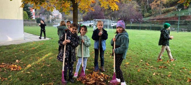 Fleißige Hände im Schulgarten